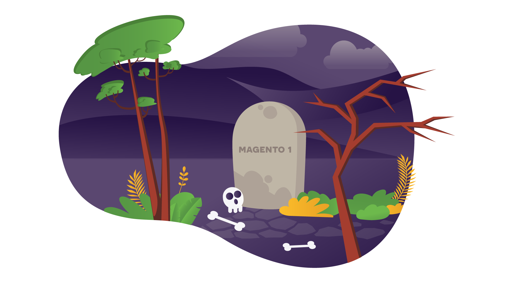 Magento 2