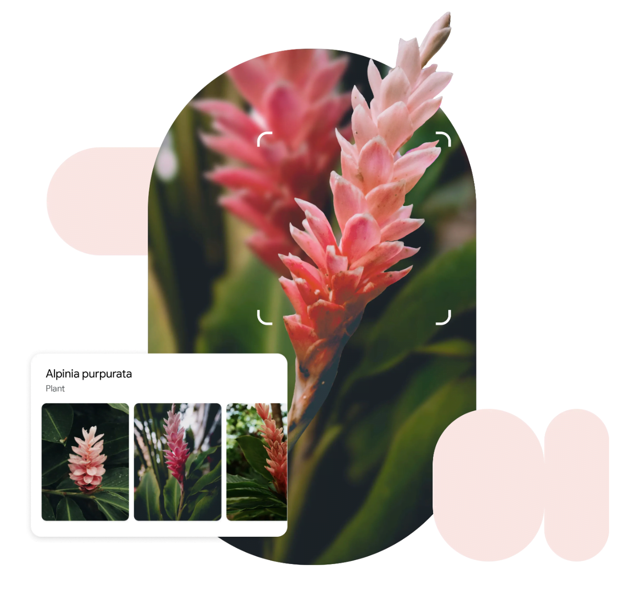 google-lens-voorbeeld Google Lens voorbeeld